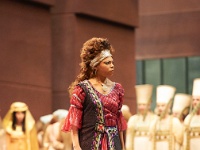 aida vienna staatsoper 2013